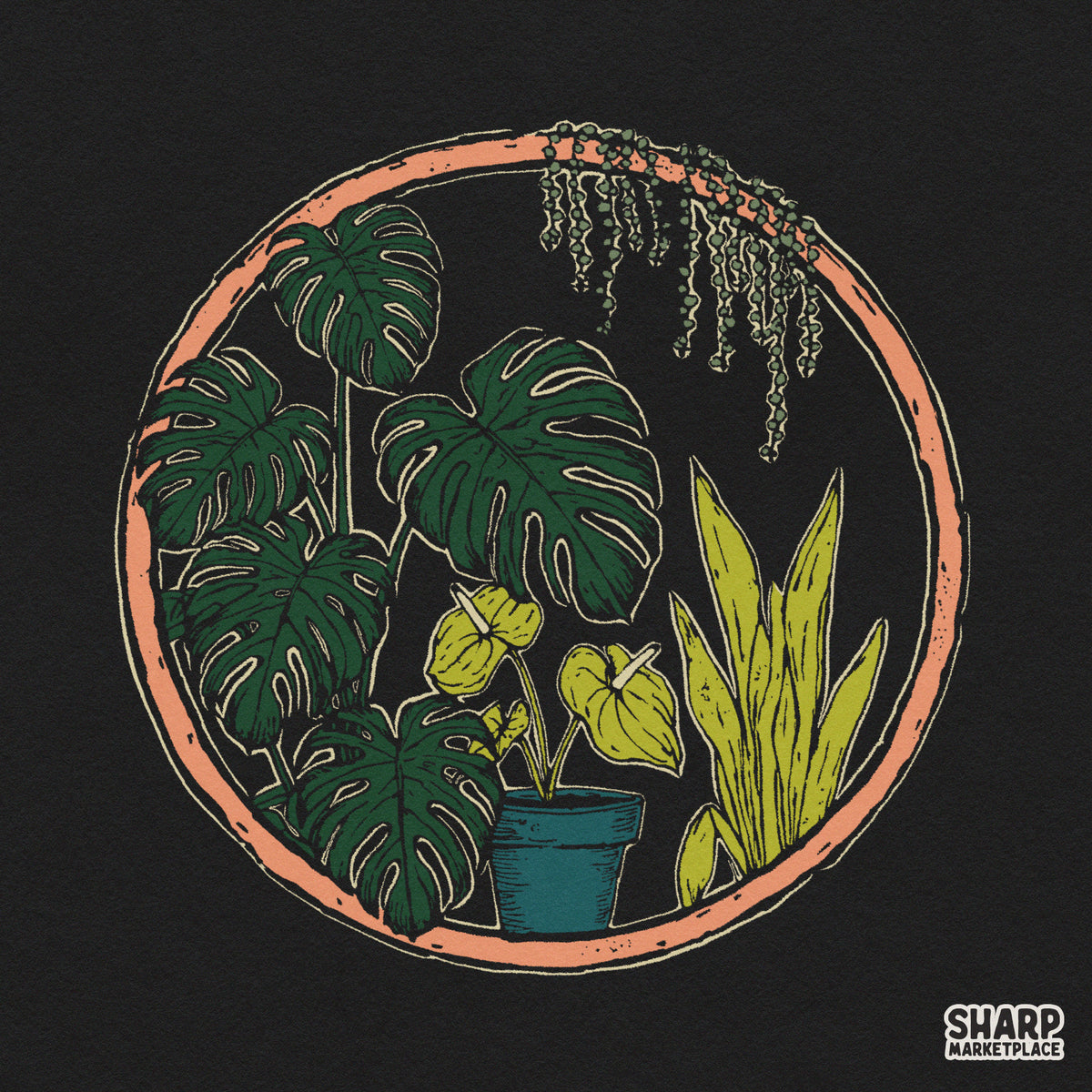 Botanical Monstera Houseplants Terracotta Circle, Mothers