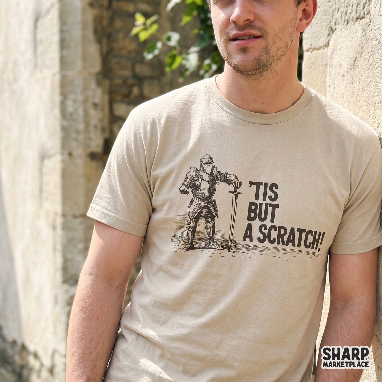Funny medieval knight meme tis but a scratch retro sarcastic sublimation design for t-shirts and stickers