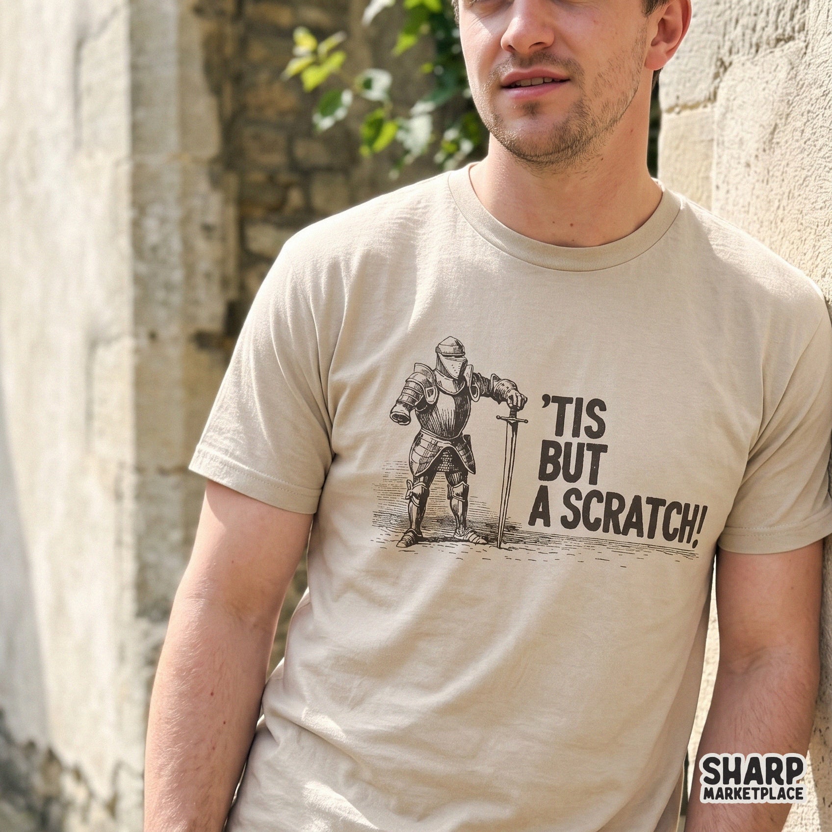 Funny medieval knight meme tis but a scratch retro sarcastic sublimation design for t-shirts and stickers
