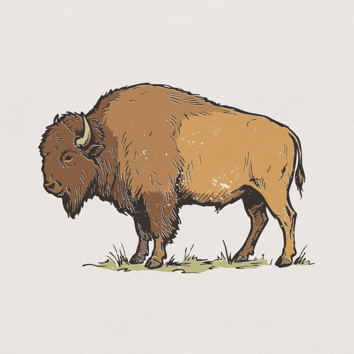 Hand-drawn bison illustration in a rustic western style with earthy brown and tan tones, perfect for t-shirt sublimation or wildlife stickers.
