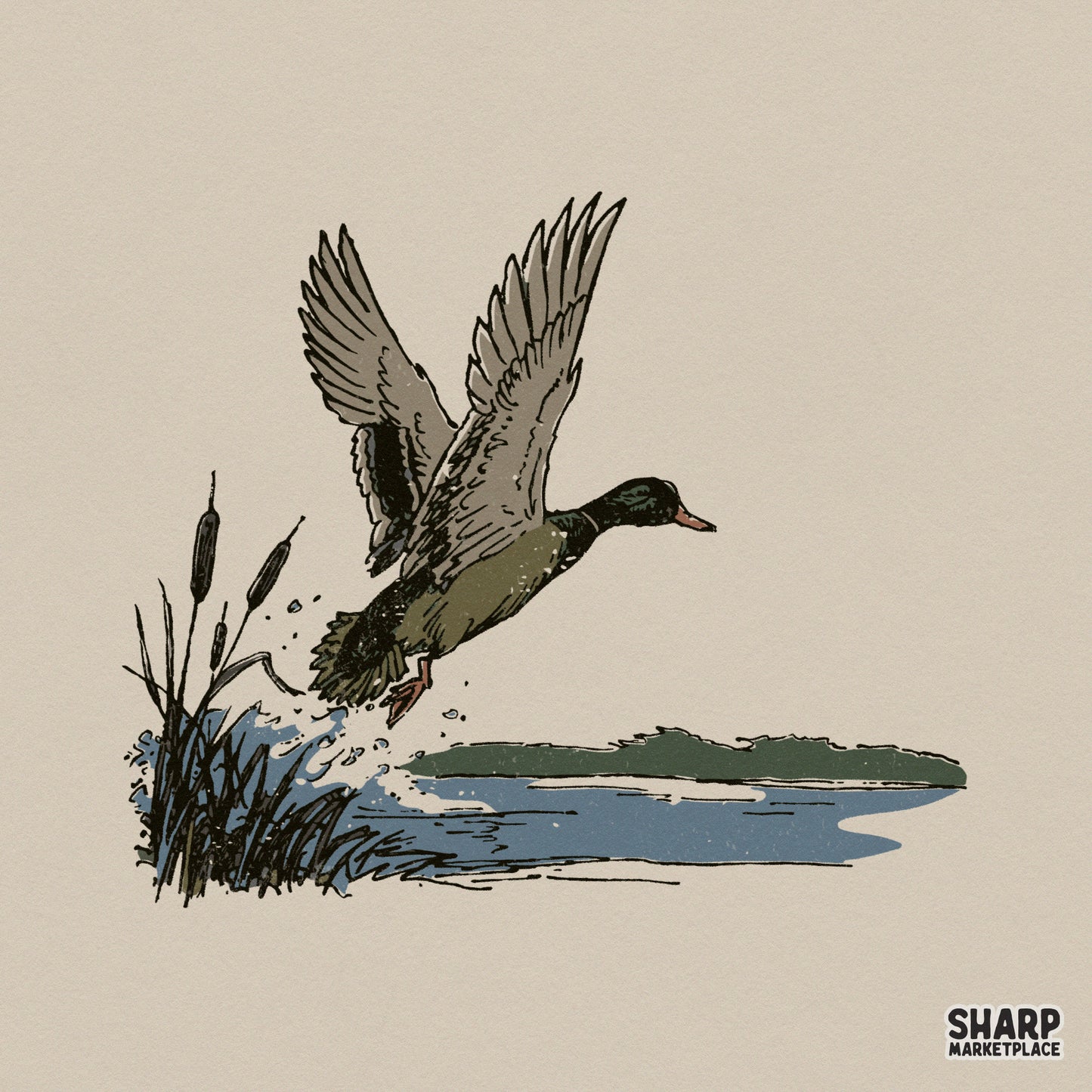 Vintage mallard duck taking flight from a marsh with cattails and water splash, hand-drawn rustic illustration for sublimation and apparel printing.