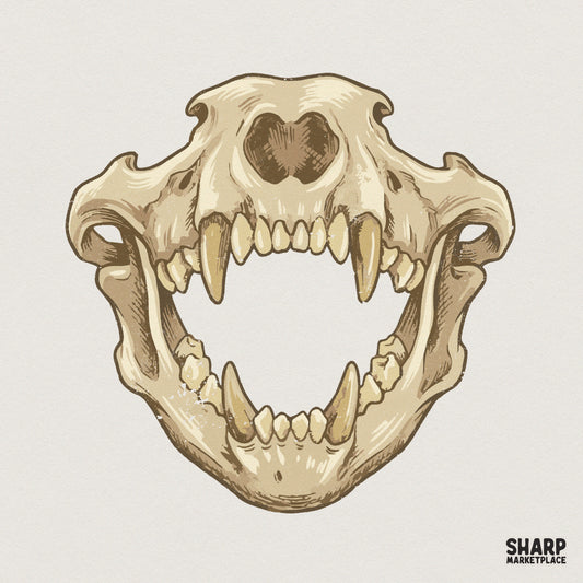 Saber Tooth Skull PNG, Animal Skeleton Art - 300 DPI Design for T-Shirt