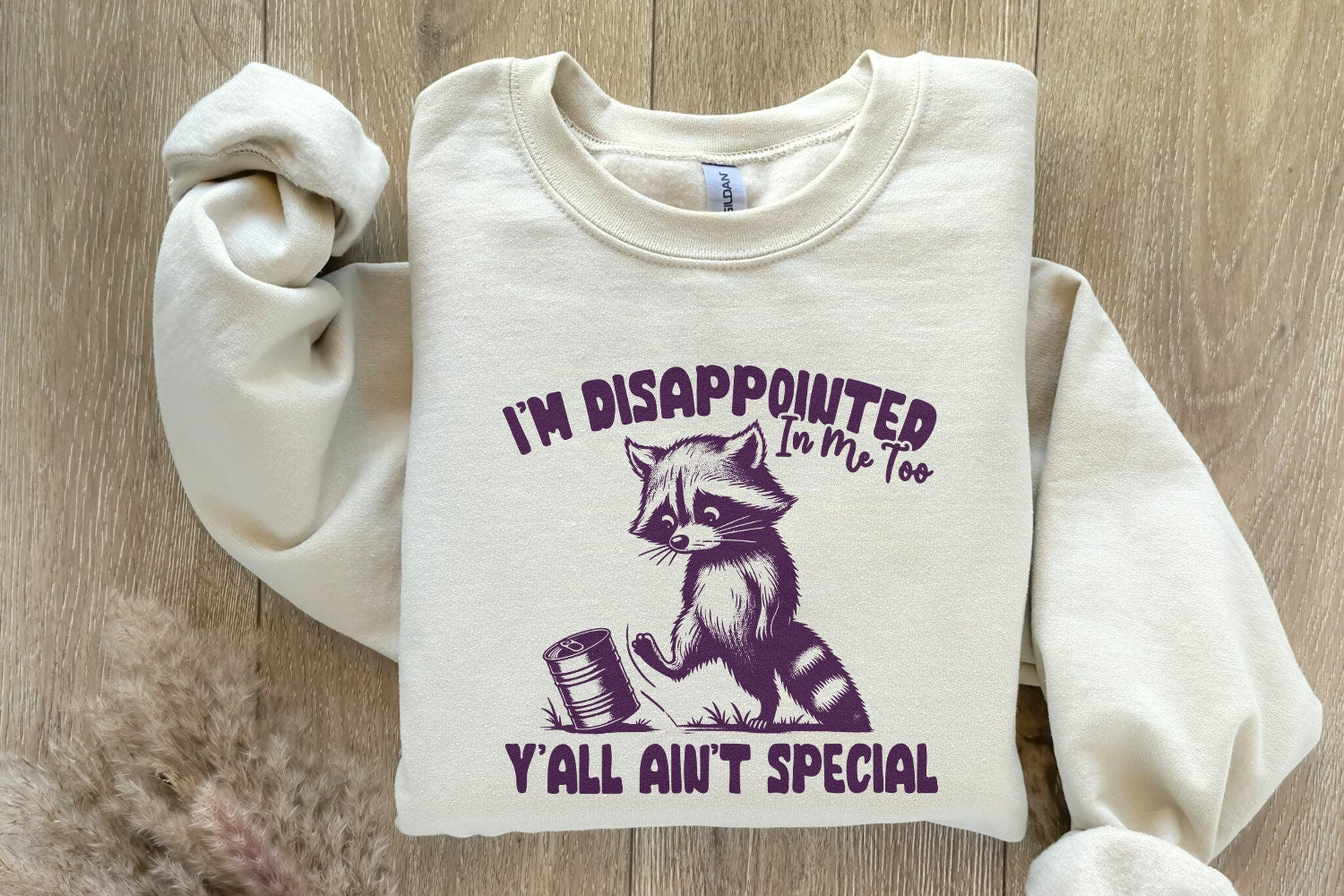 I'm Disappointed in Me Too Y'all Ain't Special PNG Alt 2, Funny Racoon on