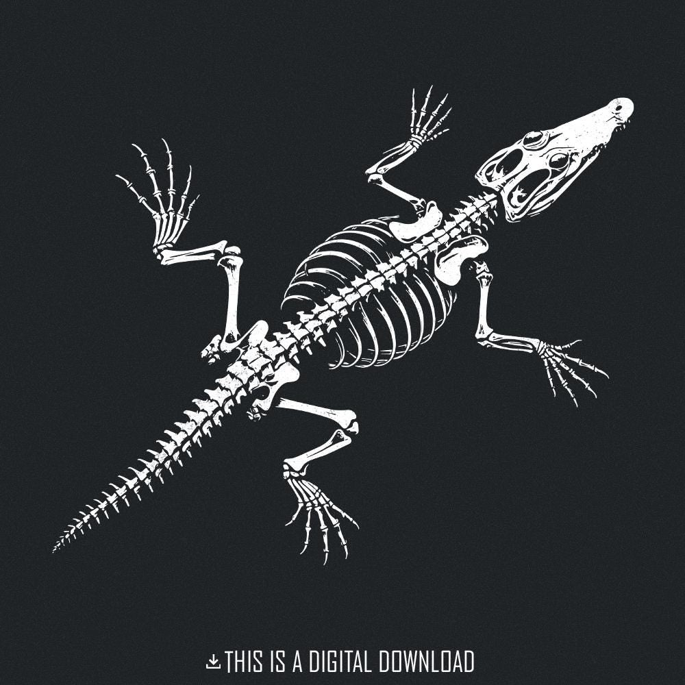 Crocodile Skeleton PNG, Alligator Bones png - 300 DPI Design for T-Shirt