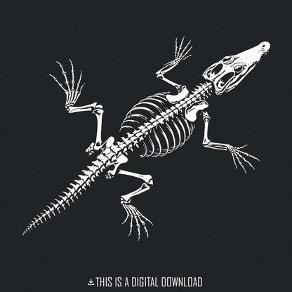 Crocodile Skeleton PNG, Alligator Bones png - 300 DPI Design for T-Shirt