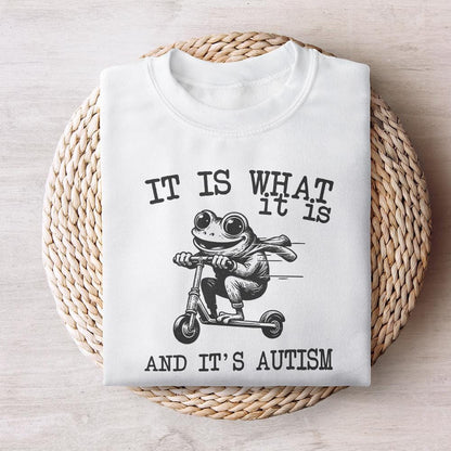 It Is What It Is And It Is Autism PNG, Funny Raccoon Meme - 300 DPI