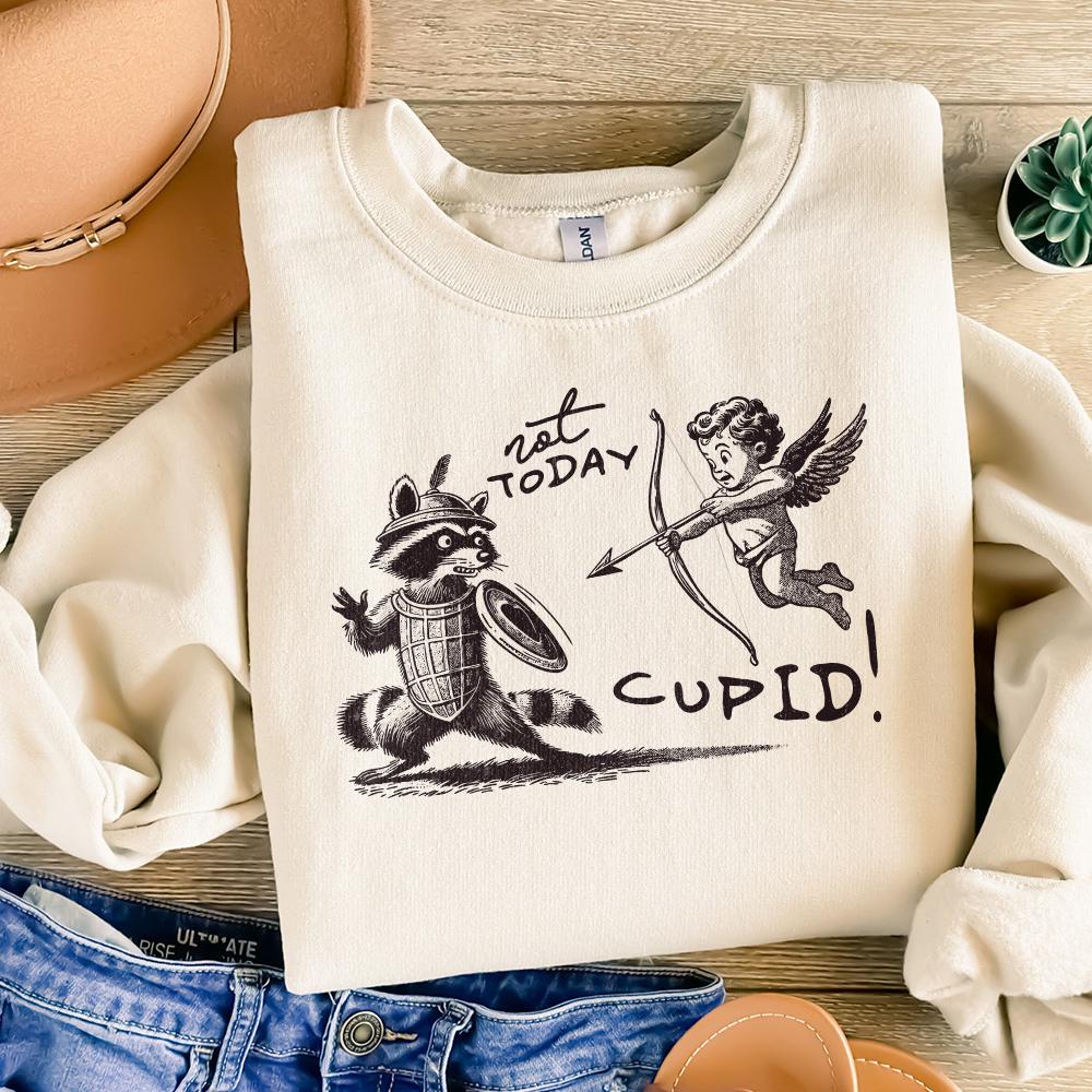 Not Today Cupid Png, Funny Feral Raccoon Valentines Day PNG - 300 DPI