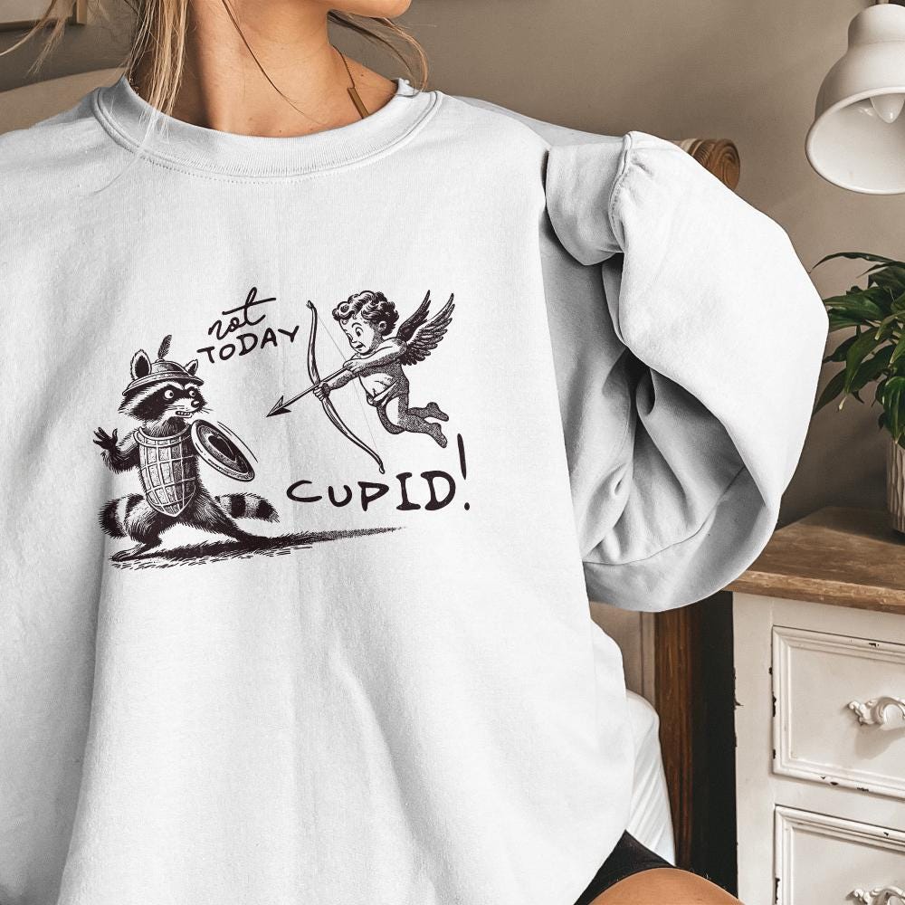 Not Today Cupid Png, Funny Feral Raccoon Valentines Day PNG - 300 DPI