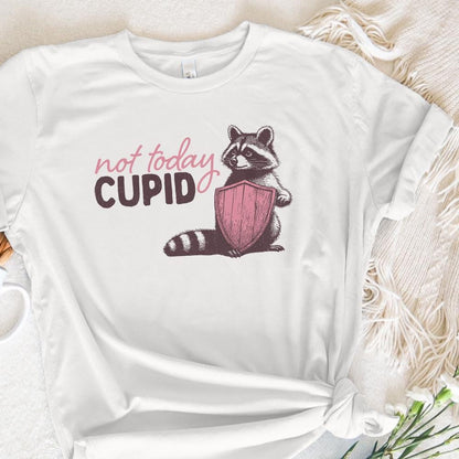 Not Today Cupid Png Alt 2, Funny Feral Raccoon Valentines Day PNG - 300