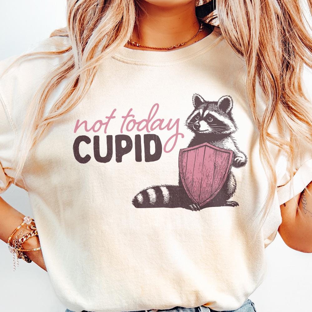 Not Today Cupid Png Alt 2, Funny Feral Raccoon Valentines Day PNG - 300