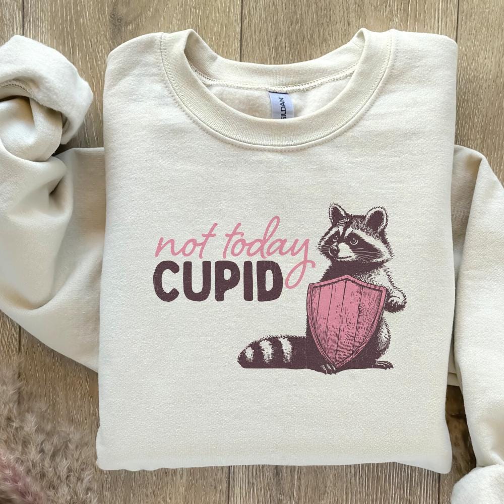 Not Today Cupid Png Alt 2, Funny Feral Raccoon Valentines Day PNG - 300