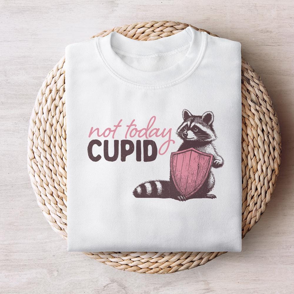 Not Today Cupid Png Alt 2, Funny Feral Raccoon Valentines Day PNG - 300