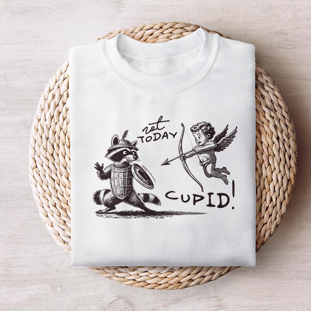 Not Today Cupid Png, Funny Feral Raccoon Valentines Day PNG - 300 DPI