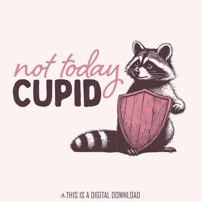 Not Today Cupid Png Alt 2, Funny Feral Raccoon Valentines Day PNG - 300