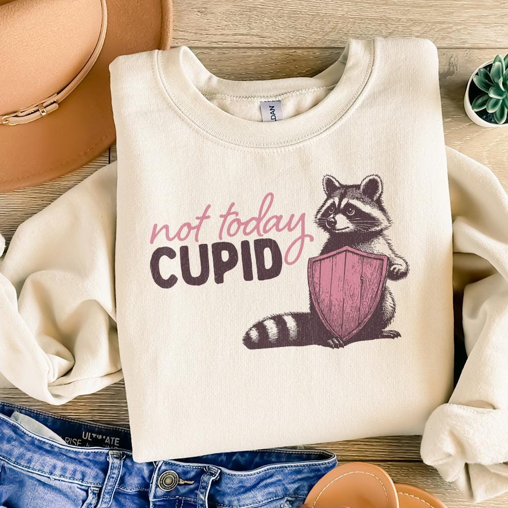 Not Today Cupid Png Alt 2, Funny Feral Raccoon Valentines Day PNG - 300