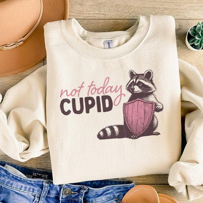 Not Today Cupid Png Alt 2, Funny Feral Raccoon Valentines Day PNG - 300
