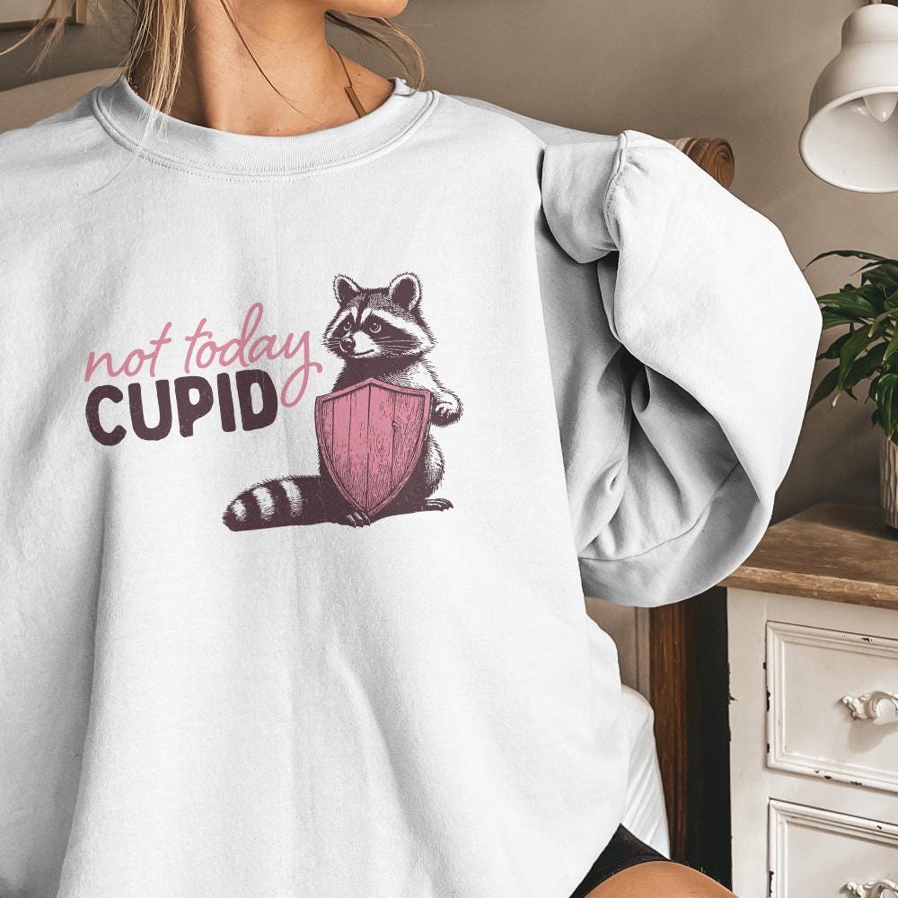 Not Today Cupid Png Alt 2, Funny Feral Raccoon Valentines Day PNG - 300