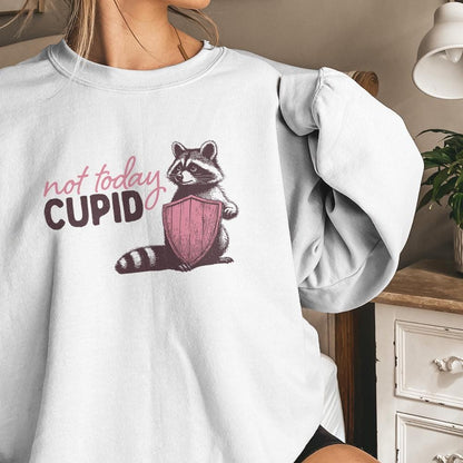 Not Today Cupid Png Alt 2, Funny Feral Raccoon Valentines Day PNG - 300