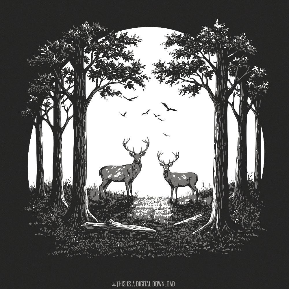 Whitetail Buck PNG Download, Deer Art - 300 DPI Design for T-Shirt