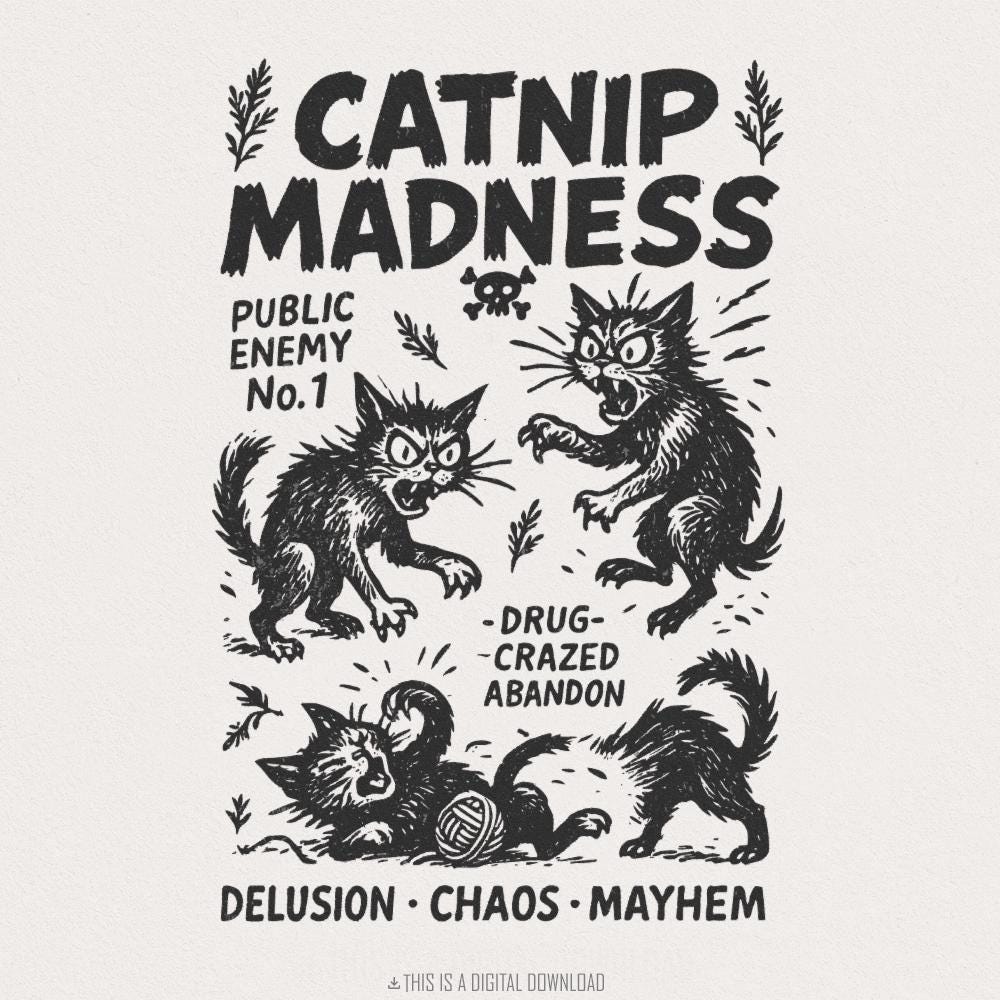 Catnip Madness PNG, Funny Cat Lover Vintage Cat Design - 300 DPI Design