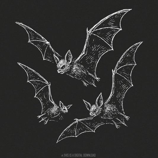 Vintage Bats PNG Clipart for Gothic Halloween Decor, Bat Drawing PNG