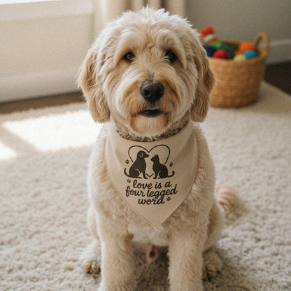 Love Is a Four Legged Word PNG, Dog and Cat Heart Design - 300 DPI Design