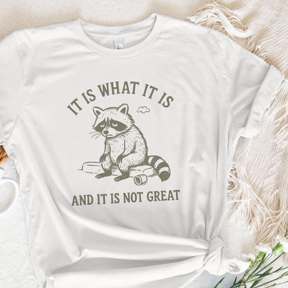It Is What It Is And It Is Not Great PNG, Sad Raccoon Shirt - 300 DPI