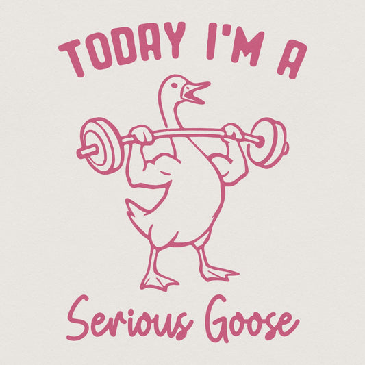 Silly Goose Era PNG, Funny Silly Goose png - 300 DPI Design for T-Shirt