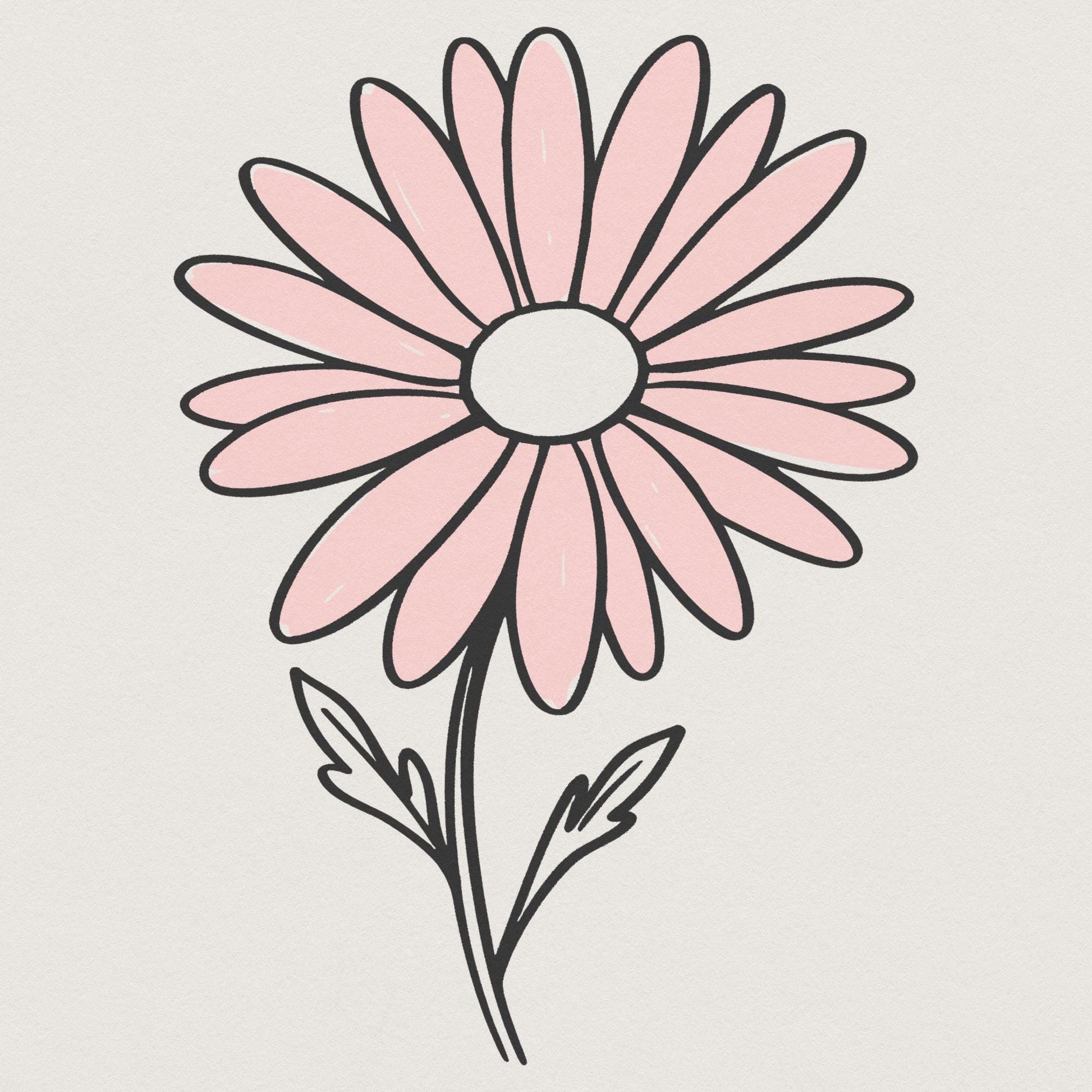 Pink Daisy Flower Clipart PNG, Minimalist Floral Graphic - 300 DPI Design