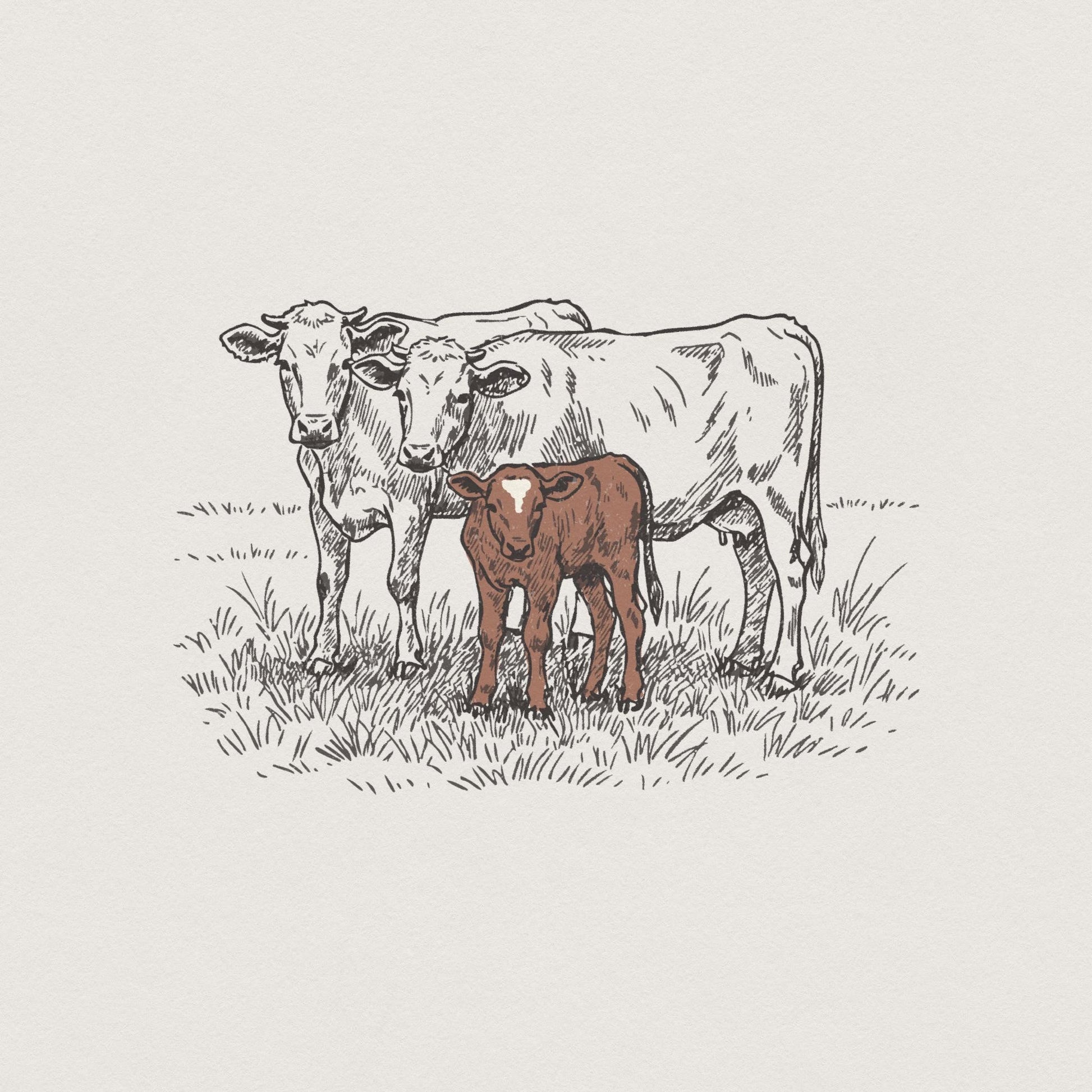 Cow PNG, Cattle Sublimation Design - 300 DPI Design for T-Shirt
