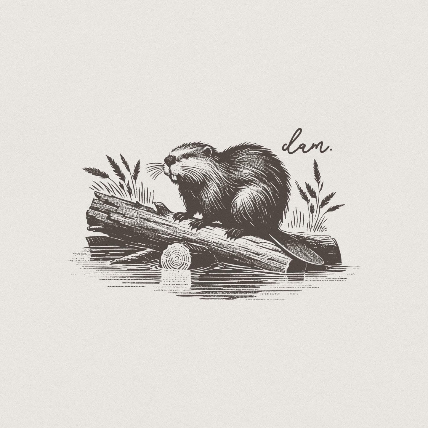 Beaver Dam PNG, Funny Beaver - 300 DPI Design for T-Shirt