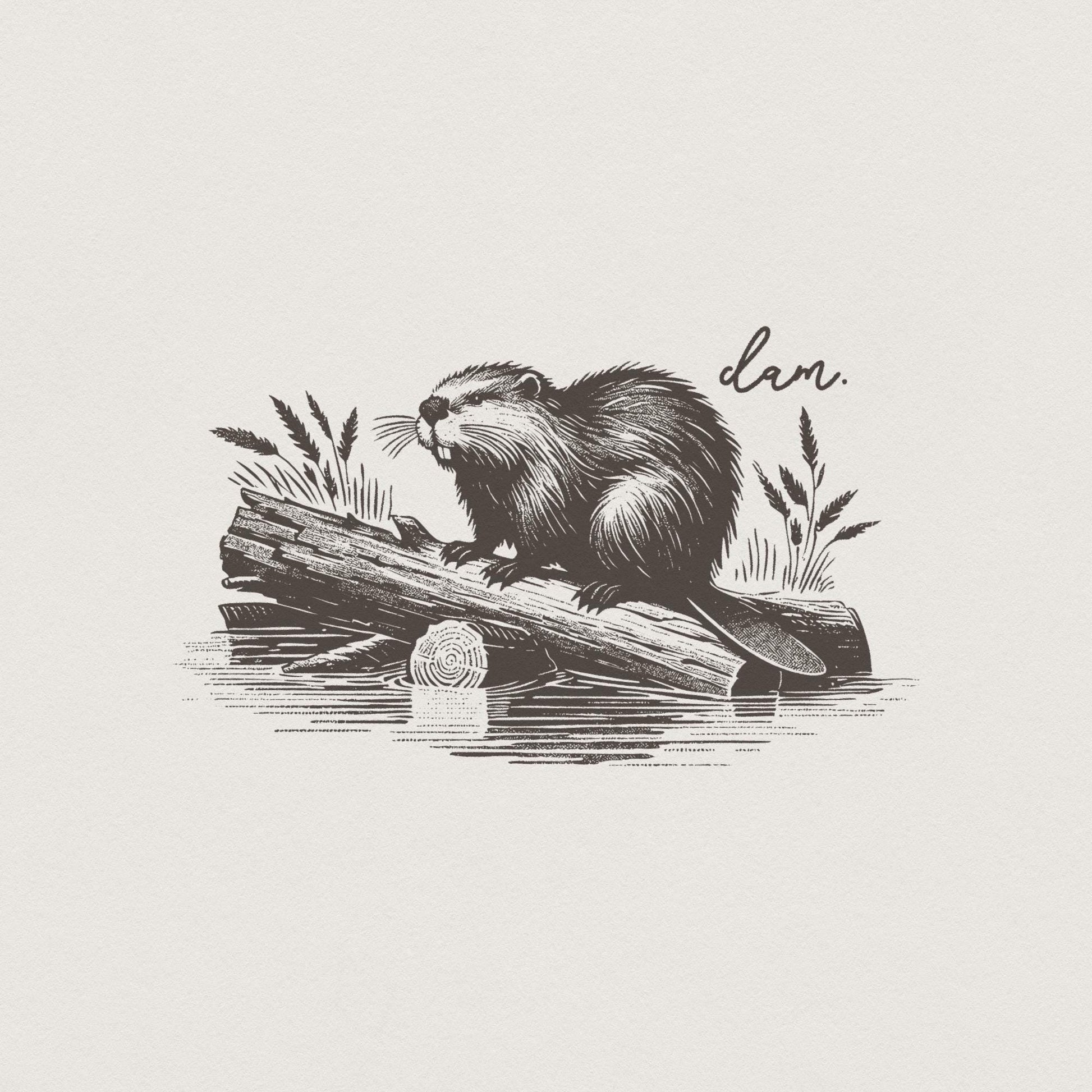 Beaver Dam PNG, Funny Beaver - 300 DPI Design for T-Shirt