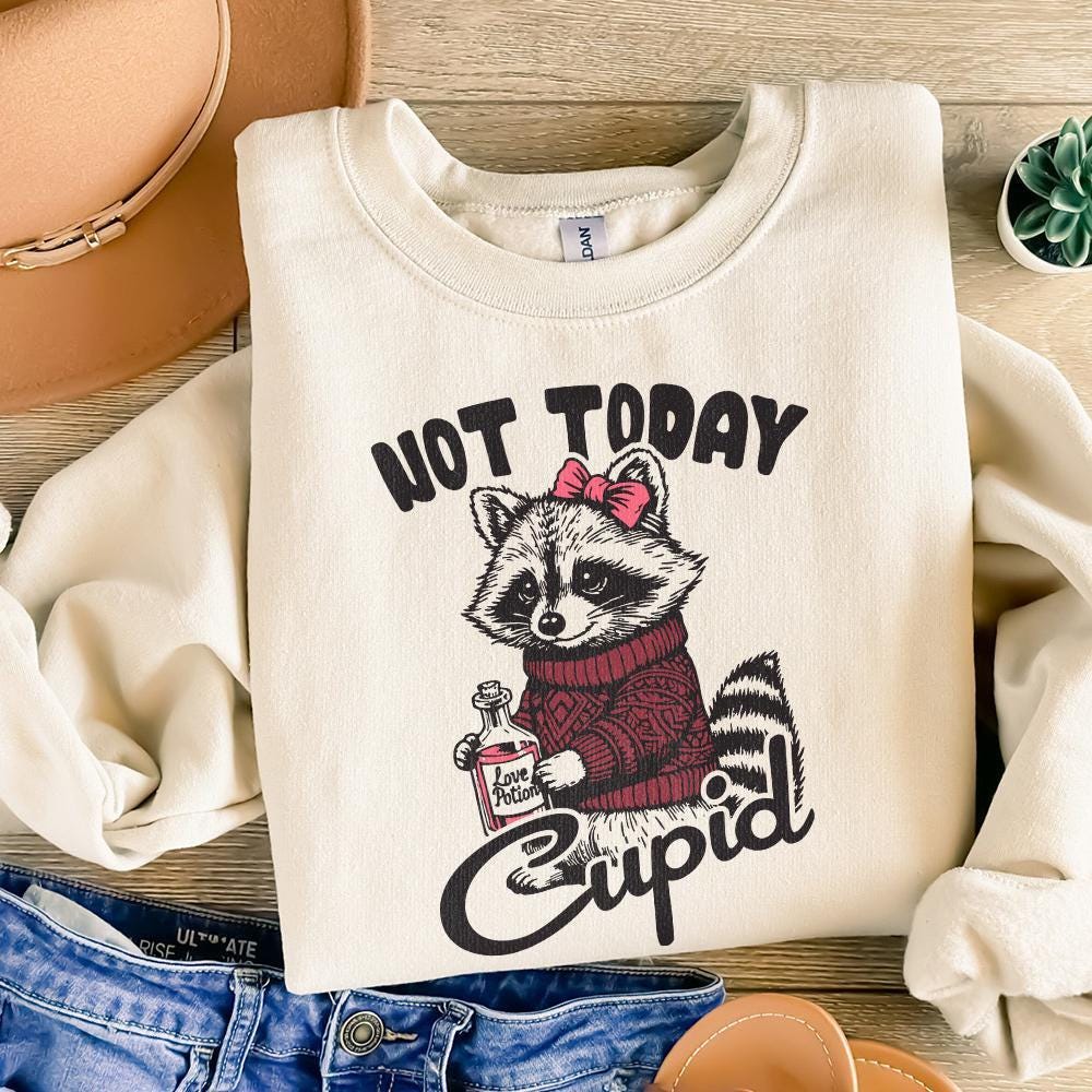 Not Today Cupid Funny Raccoon PNG, Valentine's Day Sublimation Design -