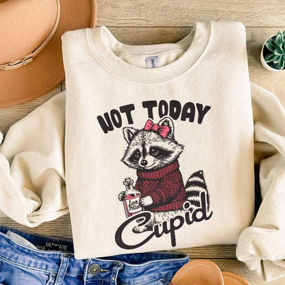 Not Today Cupid Funny Raccoon PNG, Valentine's Day Sublimation Design -