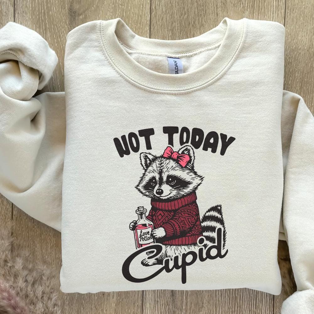 Not Today Cupid Funny Raccoon PNG, Valentine's Day Sublimation Design -