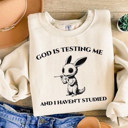 God Is Testing Me And I Have Not Studied PNG png, Sarcastic rabbit Png -