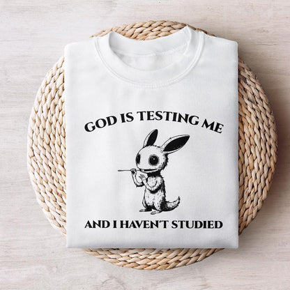 God Is Testing Me And I Have Not Studied PNG png, Sarcastic rabbit Png -