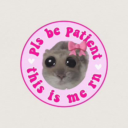 Funny Hamster TikTok Meme Bundle for Car Decals PNG - Cute New Driver