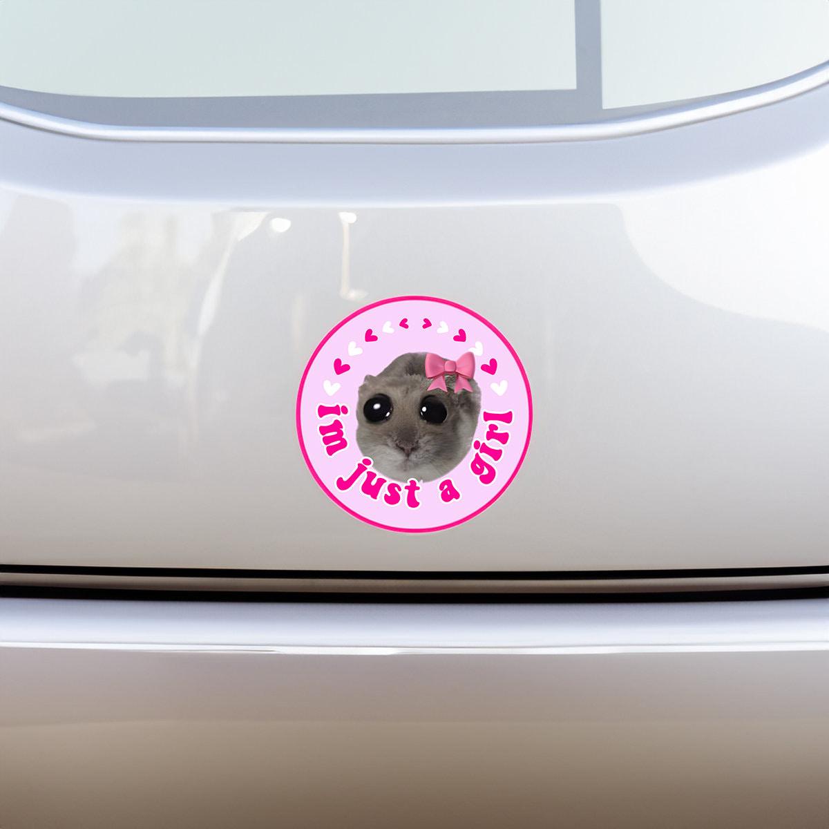 Funny Hamster TikTok Meme Bundle for Car Decals PNG - Cute New Driver