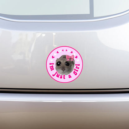 Funny Hamster TikTok Meme Bundle for Car Decals PNG - Cute New Driver
