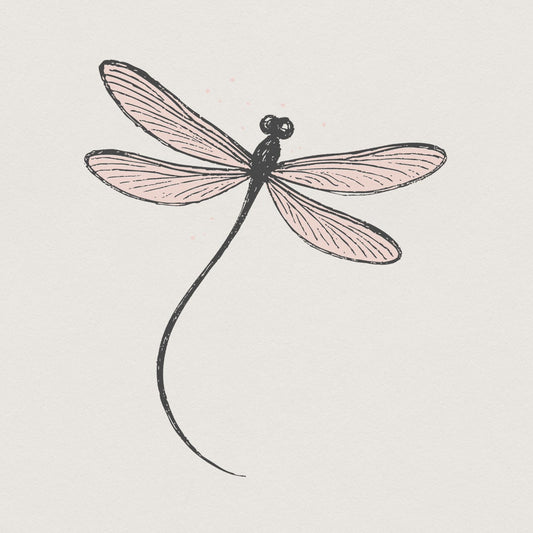 Dragonfly PNG Art, Hand Drawn Insect Design - 300 DPI Design for T-Shirt
