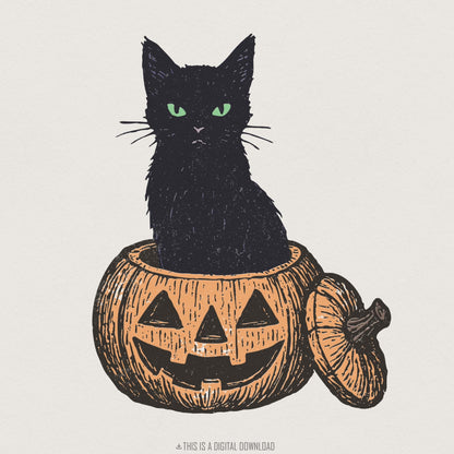 Black Cat In Pumpkin PNG, Halloween Cat Clipart PNG - 300 DPI Design for