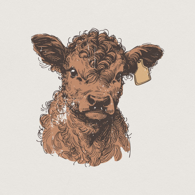 Highland Cow PNG, Desert Western png - 300 DPI Design for T-Shirt
