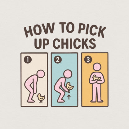 How To Pick Up Chicks PNG, Funny Chicken Lover Shirt - 300 DPI Design for