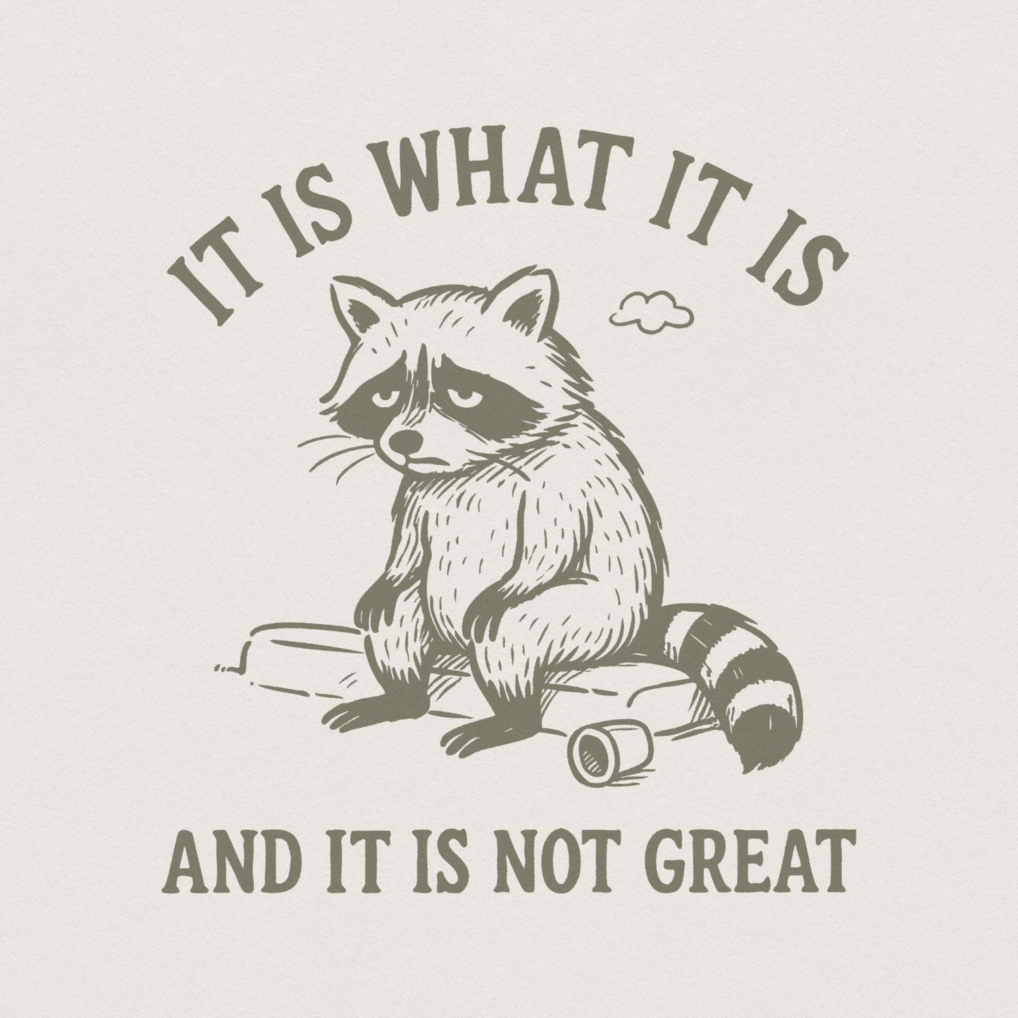It Is What It Is And It Is Not Great PNG, Sad Raccoon Shirt - 300 DPI