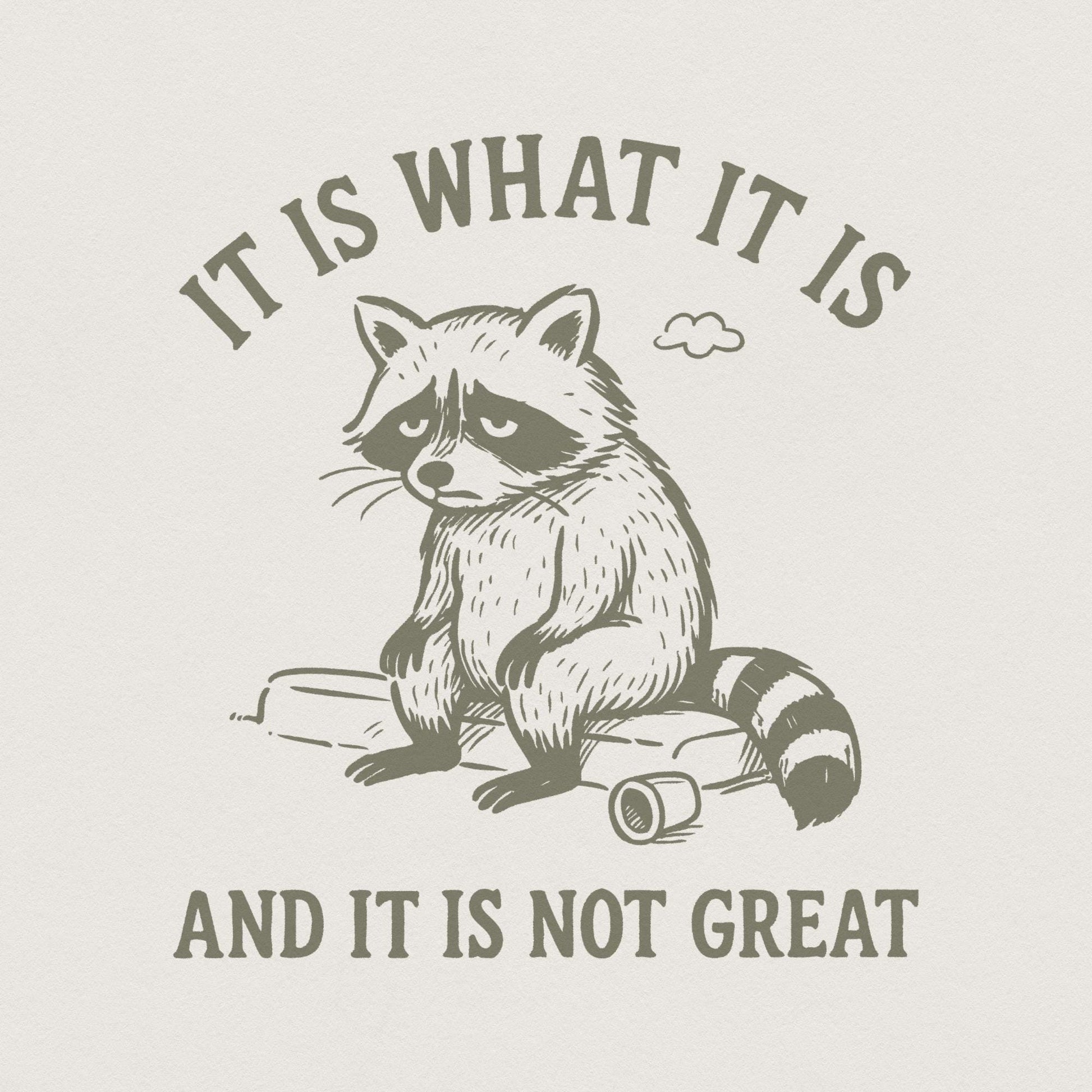 It Is What It Is And It Is Not Great PNG, Sad Raccoon Shirt - 300 DPI