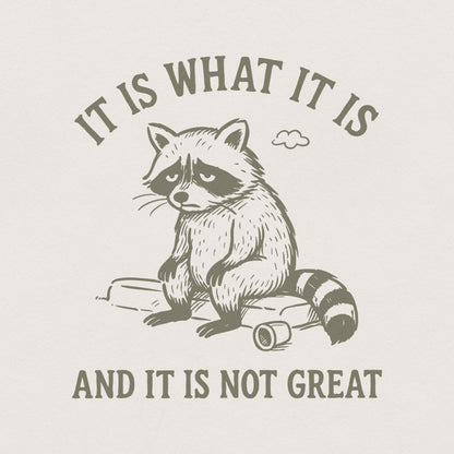 It Is What It Is And It Is Not Great PNG, Sad Raccoon Shirt - 300 DPI