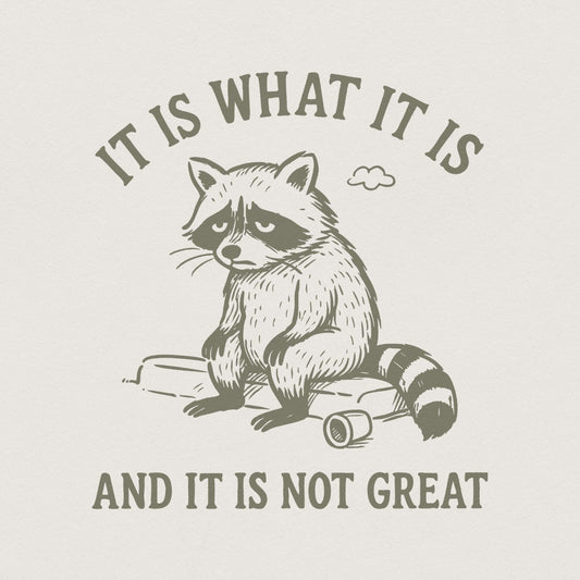 It Is What It Is And It Is Not Great PNG, Sad Raccoon Shirt - 300 DPI
