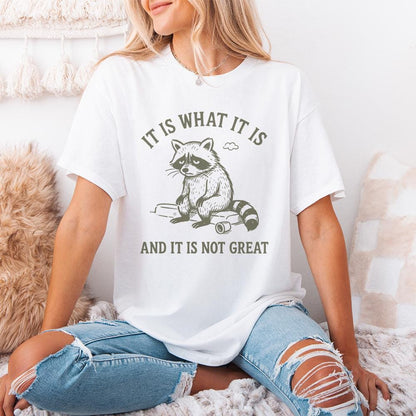 It Is What It Is And It Is Not Great PNG, Sad Raccoon Shirt - 300 DPI