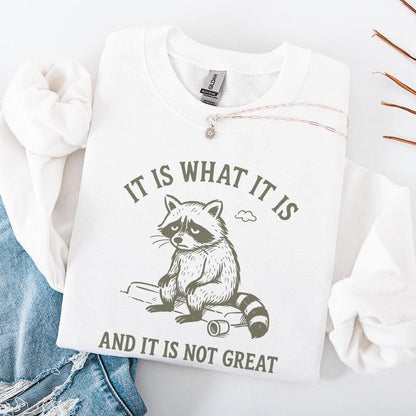 It Is What It Is And It Is Not Great PNG, Sad Raccoon Shirt - 300 DPI